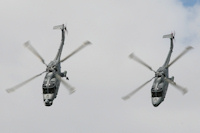 Westland Lynx, Black Cats, Fleet Air Arm