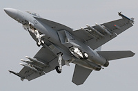 Boeing F/A-18F Super Hornet, US Navy