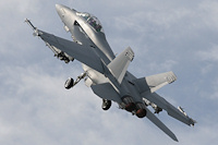 Boeing F/A-18F Super Hornet, US Navy