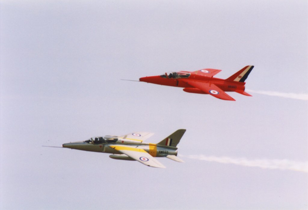 Gnat T1 pair