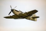 Fairey Firefly AS5