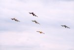 Hawker Hunter Formation
